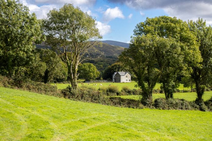 Why Kerry exited hybrid dairy and pivoted Smug to snacking