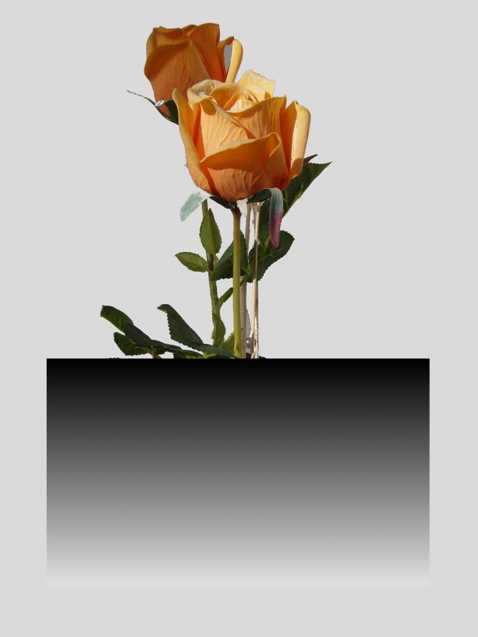 Both sugary and sweetened drinks increase liver disease risk