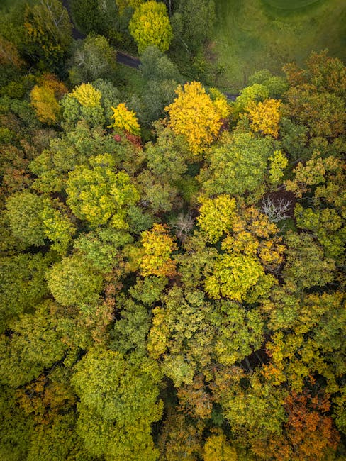 “Every pattern, every bend, every note – same key, same tempo. Not a second of originality”: Giacomo Turra returns after viral song-stealing scandal – and his new music has already been accused of lifting licks