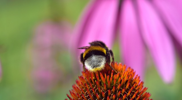 I Started a Small Business at 65, but My Family Says I Should Just Babysit