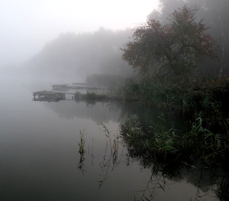 misty-copeland-took-her-final-bow-for-abt-with-a-farewell-performance-at-the-fall-gala.jpeg Misty Copeland Took Her Final Bow for ABT with a Farewell Performance at the Fall Gala