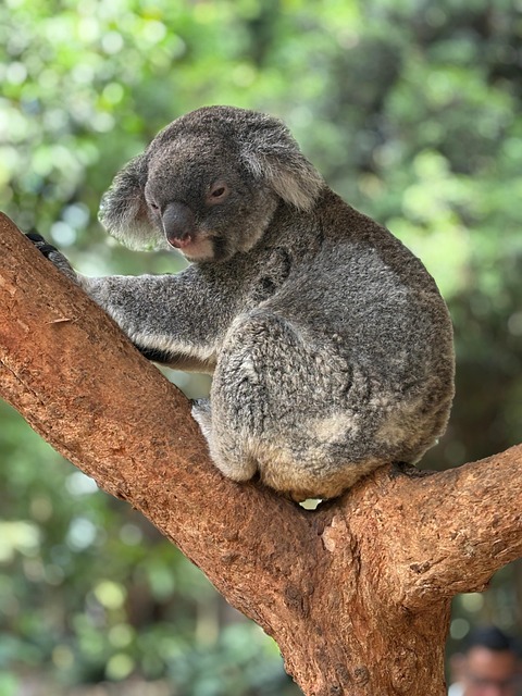 Sydney Sweeney Wants to Surprise People With Her Projects: “Everyone’s Like, ‘Sydney Sweeney’s Doing That?’”