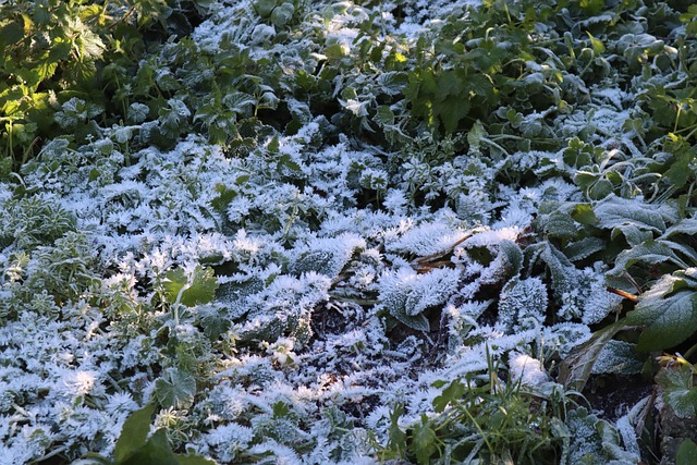 Could NBA YoungBoy Concerts Be Impacting Pro Sports Teams’ Performances This Season?