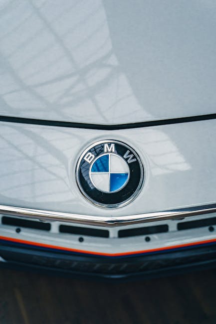 54 Best Wicked Brand Collabs Before The Wicked: For Good Premiere