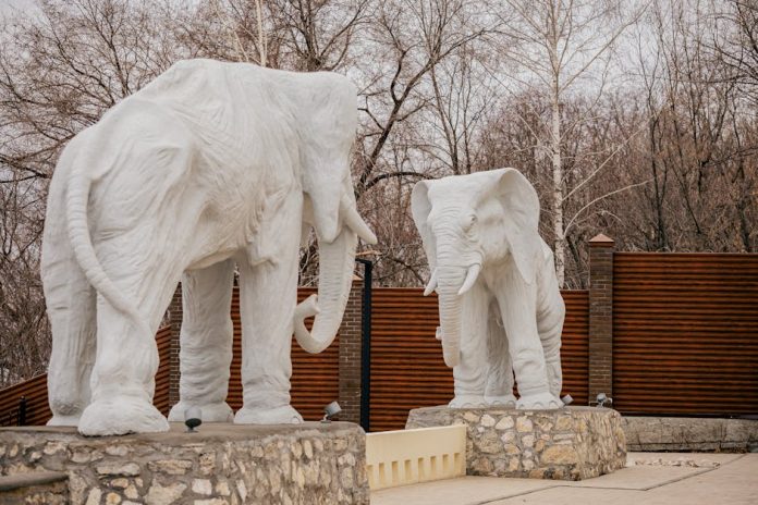 51 Best White Elephant Gifts Your Friends Will Fight Over 2025