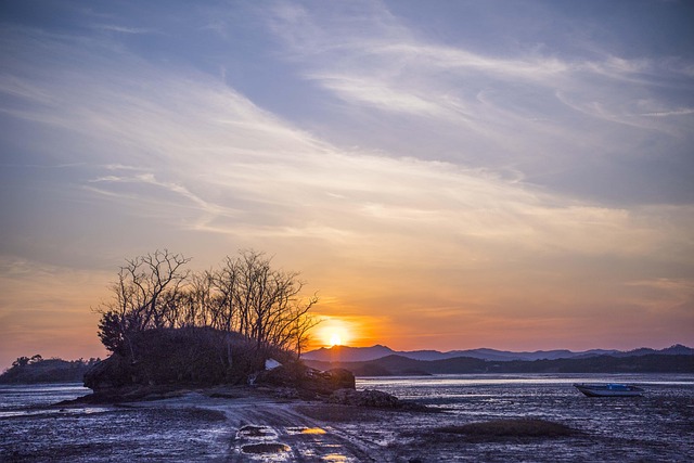 “I’ve never been a fan of slogging it out at auction. There are exceptions, though…” Joe Bonamassa says Gary Moore’s playing changed his life – now he’s just bought a piece of his guitar hero’s gear at auction