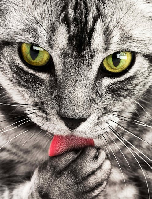 The 18 Best Anime of 2025