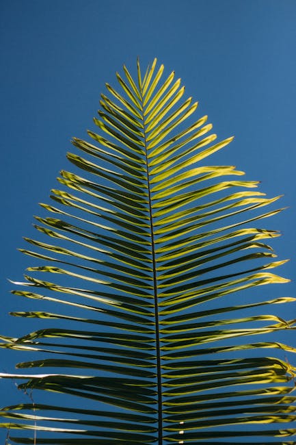 What Is NMN? Meet the Best NMN Supplements Loved by Celebs and Biohackers