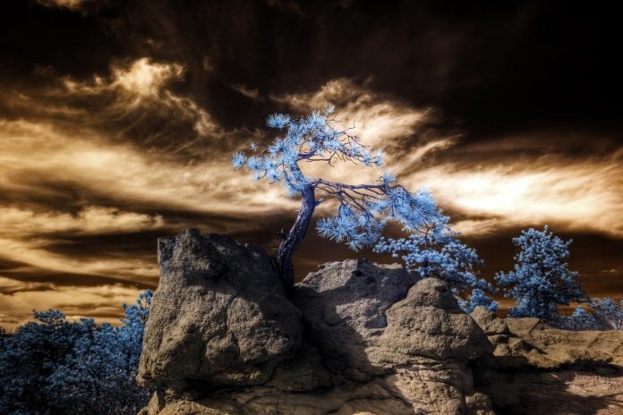 Streaming Ratings: ‘All Her Fault’ Surges in Second Week