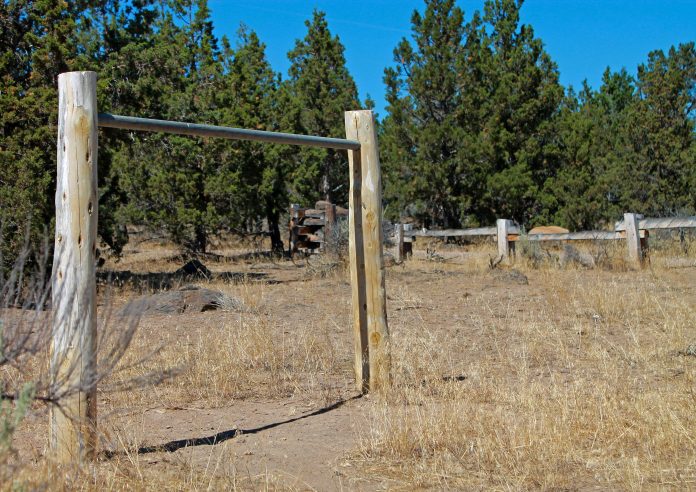 X Posts Higher Revenue Result in Q3