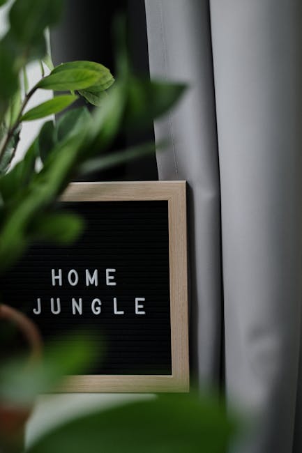 Alec Baldwin honors ‘Beetlejuice’ co-star Catherine O’Hara: ‘One of the greatest’