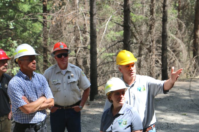 August Barron Fall 2026 Ready-to-Wear