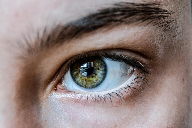 “I Was Taken Up To A Spaceship”: People Are Revealing The Wildest Things They’ve Seen With Their Own Two Eyeballs, And I’m Both Terrified And Fascinated